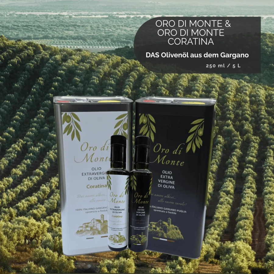 Estrella Damm ThekenTickeraktion 02/2026 | Drinkport