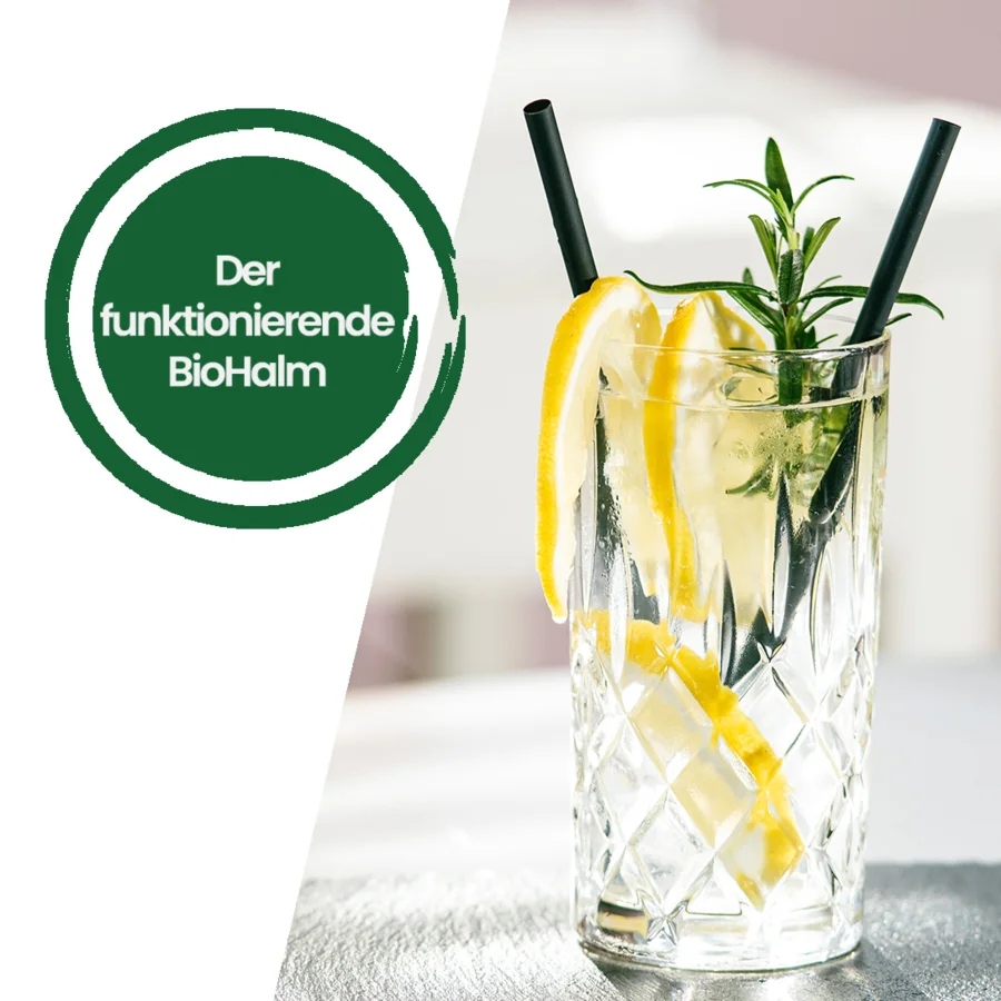 Estrella Damm ThekenTickeraktion 02/2026 | Drinkport